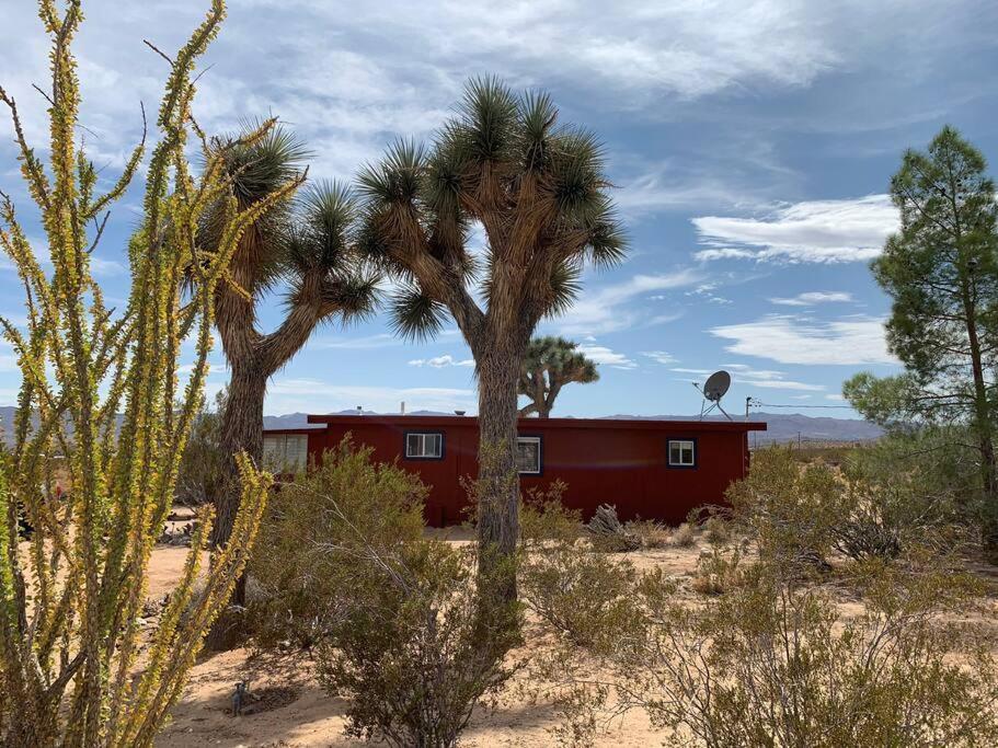 The La Brisa Hideaway - Secluded Feeling! Villa Joshua Tree Esterno foto