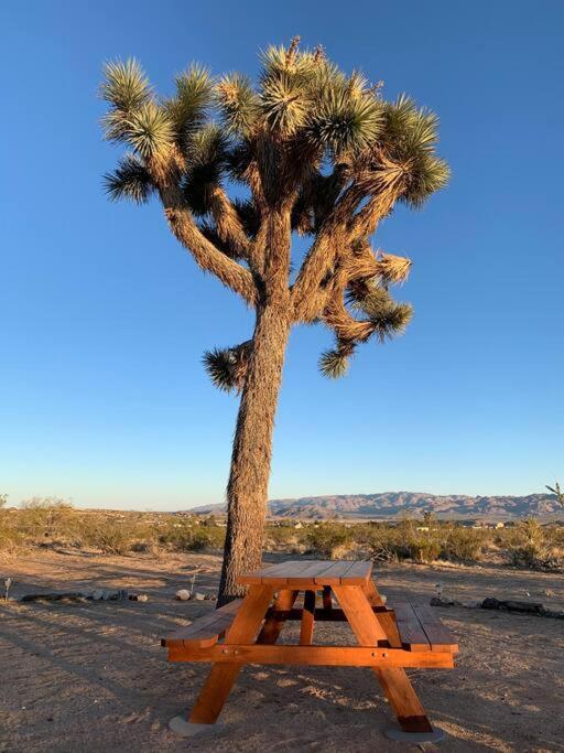 The La Brisa Hideaway - Secluded Feeling! Villa Joshua Tree Esterno foto