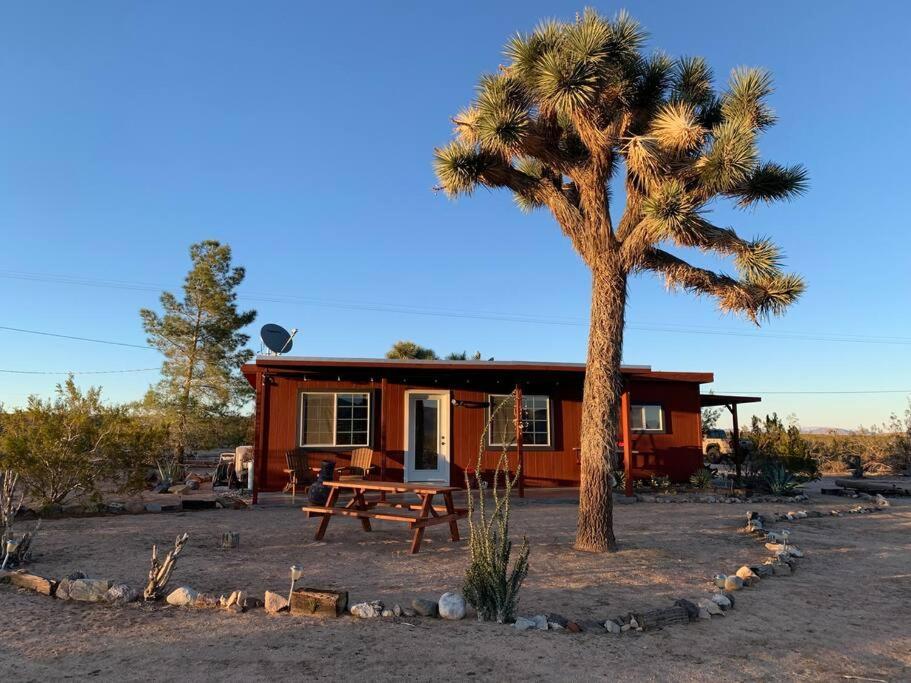 The La Brisa Hideaway - Secluded Feeling! Villa Joshua Tree Esterno foto