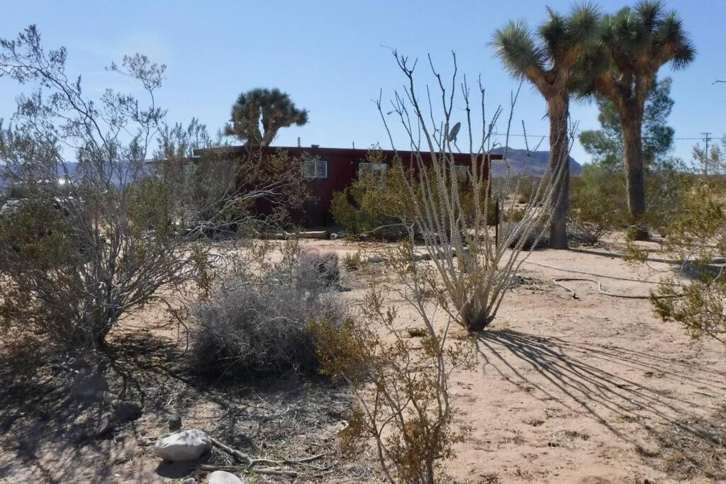 The La Brisa Hideaway - Secluded Feeling! Villa Joshua Tree Esterno foto