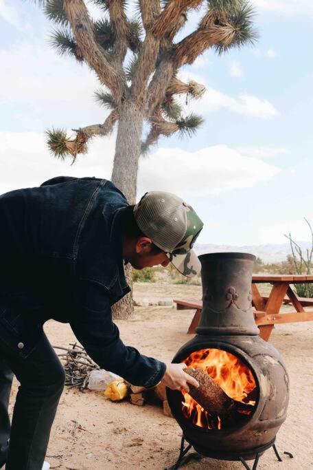 The La Brisa Hideaway - Secluded Feeling! Villa Joshua Tree Esterno foto