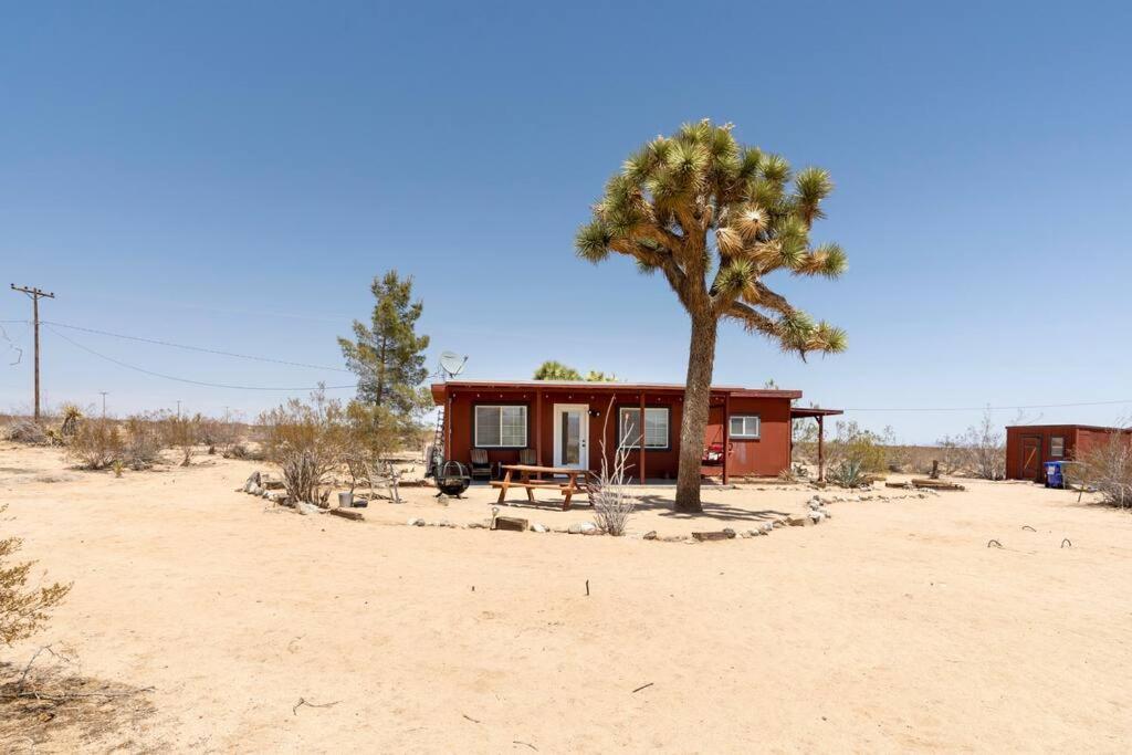 The La Brisa Hideaway - Secluded Feeling! Villa Joshua Tree Esterno foto