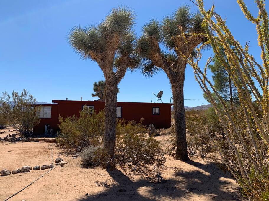 The La Brisa Hideaway - Secluded Feeling! Villa Joshua Tree Esterno foto